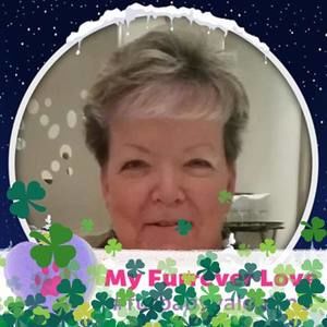 Meet your Posher, Celeste